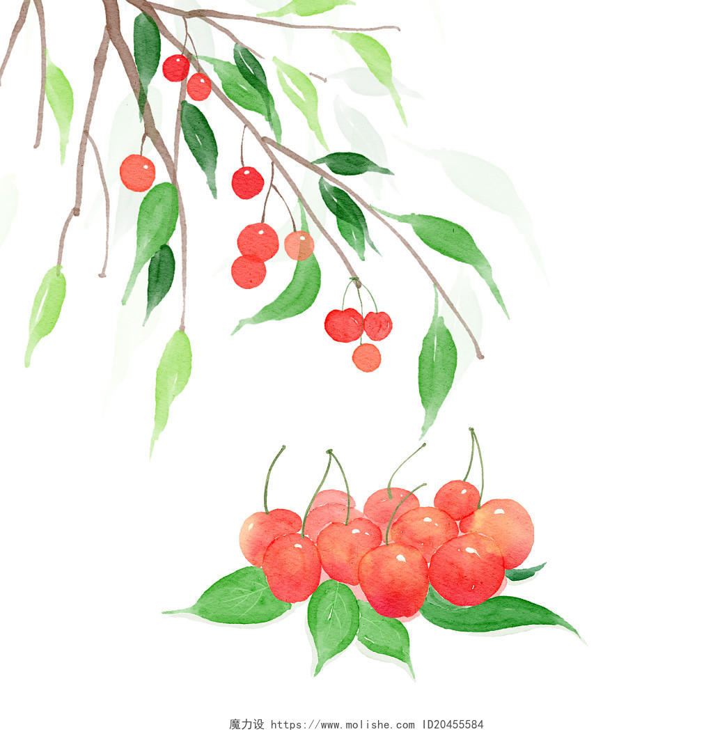 古风水彩樱桃手绘包装插画元素